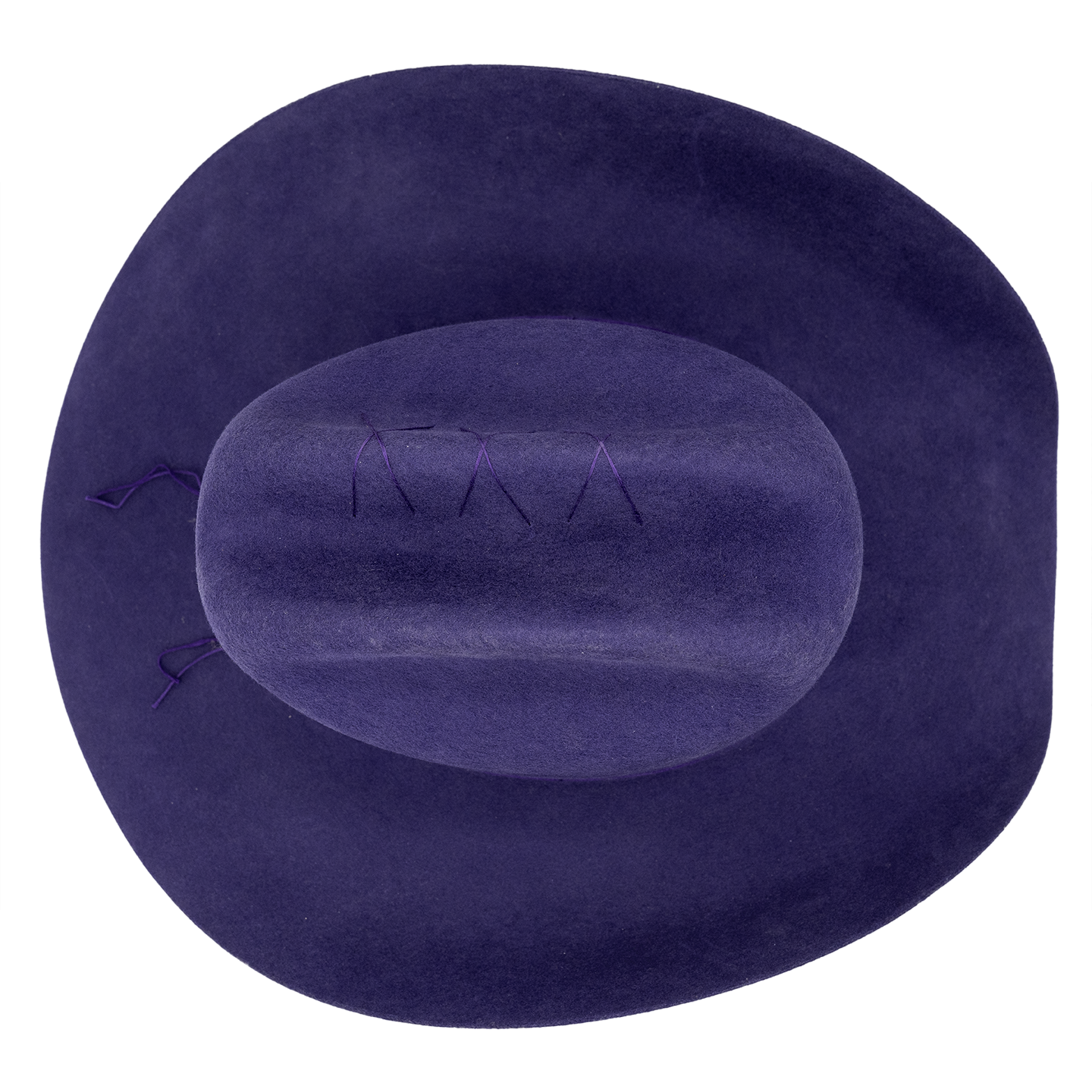 TEXANA NUMA PURPLE
