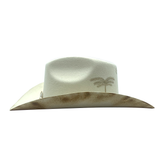 LIMITED EDITION XXIV